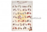 Poster Vespa pin-up