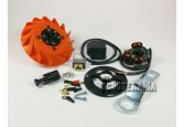 Vespatronic 160GS - Allumage avance variable