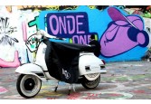 Jupe hivernale - Vespa Vespa 50, Special, Primavera, ET3, 125/150 type N, GT, Sprint, GTR, GL italien, Super, Sprint Veloce, TS, 150 et 160 GS, 180SS, Rally