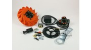 Vespatronic 160GS - Allumage avance variable