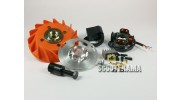 Vespatronic GTR, TS, Sprint, 200Rally,PX - Allumage avance variable
